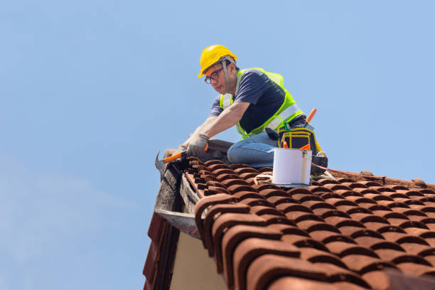 Best Asphalt Shingles Roofing  in Bradley, IL